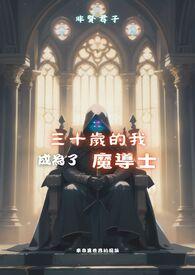 30岁的我成为了魔法师