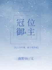冠位御主作者南野扬