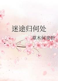 迷途与归路