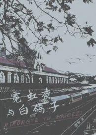 霓虹夜晚bd