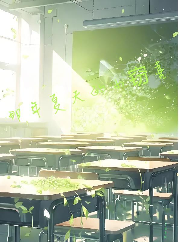那年夏天的时光