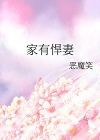 家有悍妻怎么破阅读