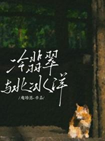 冰种翡翠价格高吗