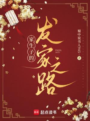 家生子的发家之路笔趣阁