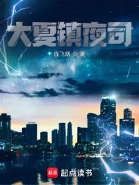 大夏镇夜司讲的什么