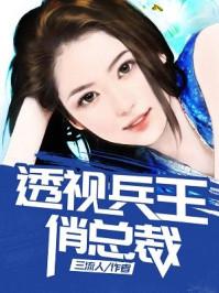透视兵王俏总裁 透视兵王俏总裁